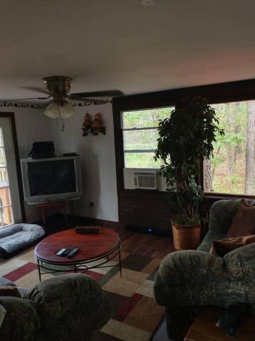Rustic Quaint Cabin In The Woods--Pets Welcomed Dunnsville Exterior photo