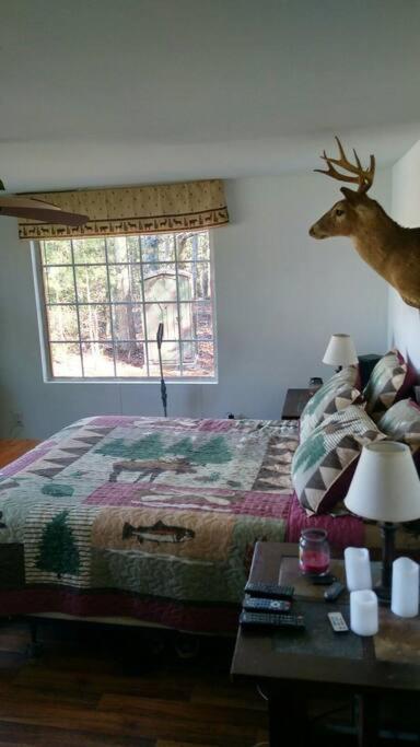 Rustic Quaint Cabin In The Woods--Pets Welcomed Dunnsville Exterior photo